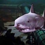 Jaws 3-D