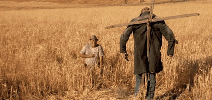 dark night of the scarecrow still