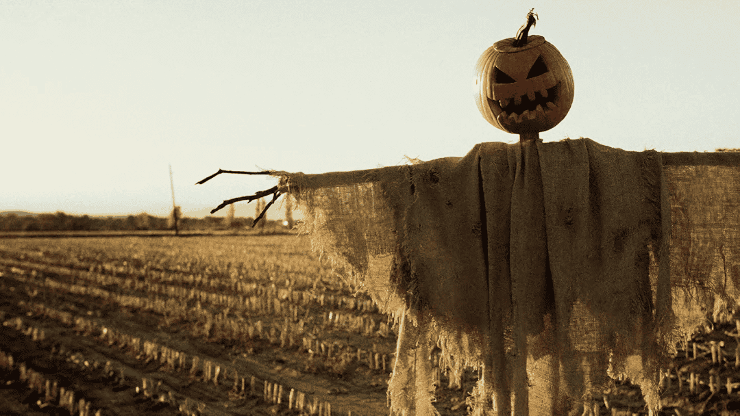 A scarecrow with a carved pumpkin head and tattered clothes stands in a harvested field under a clear sky, evoking the eerie atmosphere of a 2009 horror movie like Night of the Demons.